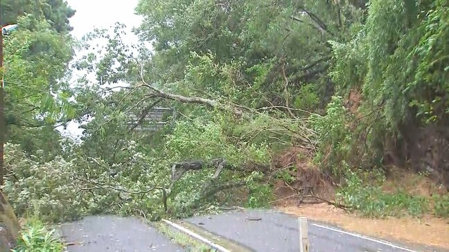 【台風10号】大雨による浸水や土砂災害など　被害状況まとめ・ドキュメント　大分|TBS NEWS DIG
