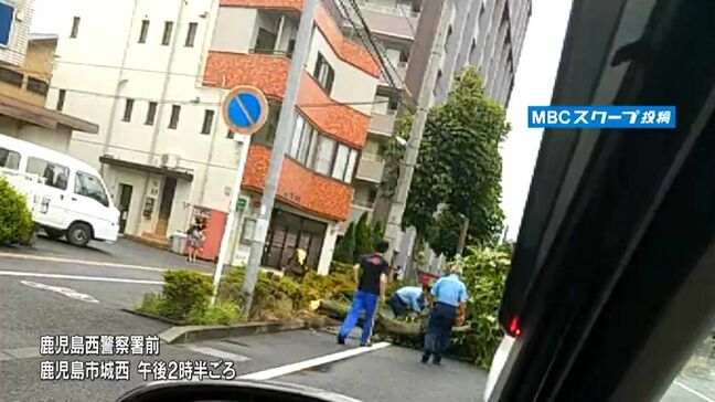 台風10号で被害　奄美市で男性が骨折　鹿児島市では街路樹倒れる　喜界町では倒木・船が転覆も|TBS NEWS DIG