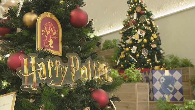 魔法魔術学校へようこそ「ハリー・ポッター　ホグワーツのクリスマス」|TBS NEWS DIG