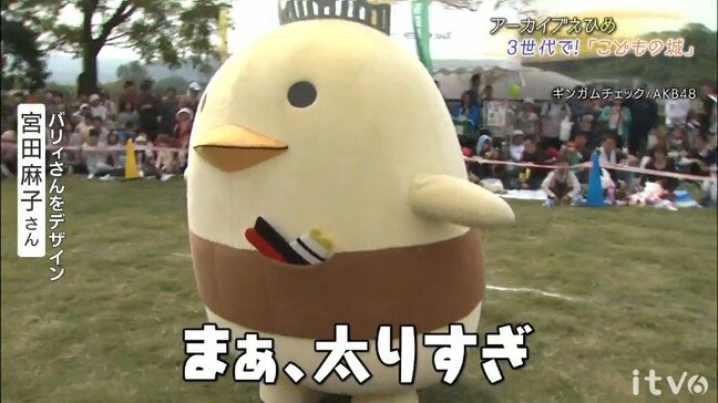 動物園のすぐ隣!遊具にジップラインにイルミネーション なんでもアリです「こどもの城」【アーカイブえひめ】|TBS NEWS DIG