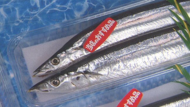 今年のサンマは“マッチョ”　「安い・大きい・とにかくおいしい」　なぜ豊漁に？|TBS NEWS DIG