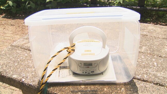 ラジカセ設置でクマ対策…閉鎖されていた桂台ゲート再開 落差日本一・称名滝へのルート 遊歩道の全面解除の見通し「何やら音が…」 称名滝付近まで一部区間通行可能に 富山・立山町|TBS NEWS DIG