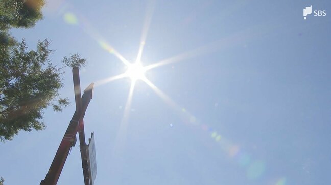 県内各地で真夏日 午前中から気温上昇 川根本町で32.5℃ 午後も気温上昇見込み 熱中症に注意を＝静岡|TBS NEWS DIG