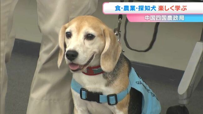 空港の探知犬が持ち込み禁止の食べ物を探すデモンストレーション 中四国農政局が「夏休みこども見学デー」|TBS NEWS DIG