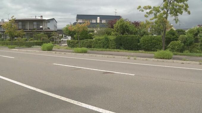 車道を歩いていた81歳女性が車にはねられ意識不明の重体　運転していた76歳の男を過失運転傷害の疑いで逮捕　北海道函館市|TBS NEWS DIG