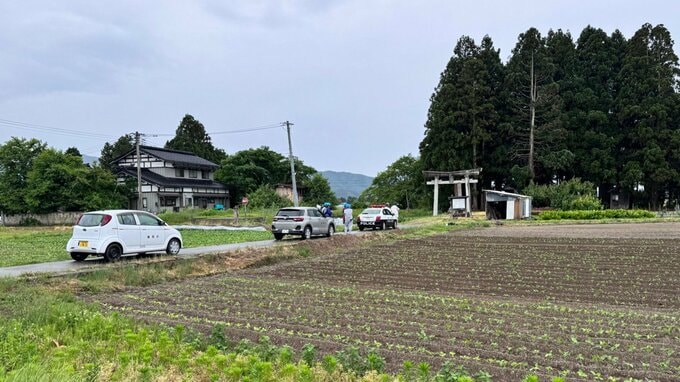 【速報】鶴岡市の神社に潜むクマを緊急銃猟で駆除　ドローンによる捜索で発見（山形）|TBS NEWS DIG