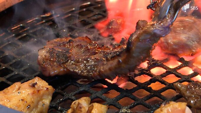 WBCでV奪還「侍ジャパンに感謝」割引に半額にプレゼント…“おいしいサービス”が熱い|TBS NEWS DIG