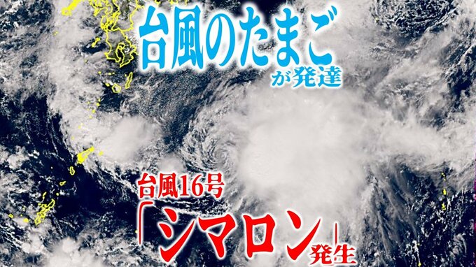 【台風情報】台風16号（シマロン）が発生　“台風のたまご”が発達　ゆっくりと日本に向けて北上　いまどこ？【最新進路予想図・雨と風のシミュレーション・海面水温（25日午後3時10分更新）】|TBS NEWS DIG
