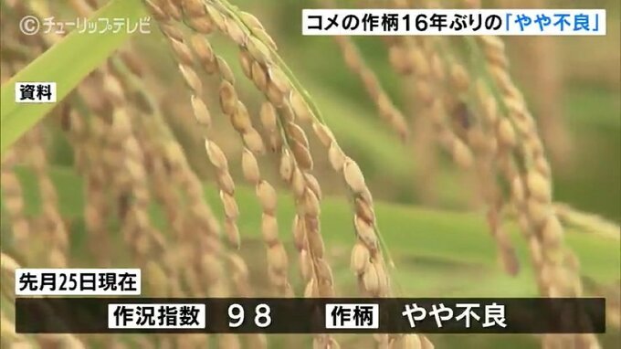 コメの作柄16年ぶり「やや不良」見通す　夏の猛暑と豪雨被害の影響か　富山|TBS NEWS DIG