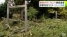 樹齢1100年超の『根岸の大いちょう』暴風で枝や幹が折れる　幹や枝は鳥居にも倒れ…　神社へつながる通路はふさがれる　管理する人も「初めてのこと」　町は安全確保のため立ち入りを制限　青森県おいらせ町　|　青森のニュース│ATV NEWS│青森テレビ