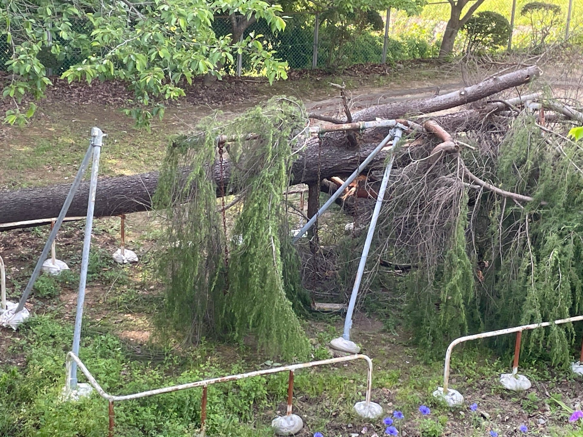 倒木が直撃しブランコ大破 「子どもがよく使う公園で…」市民からは以前