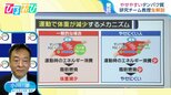 “やせやすくなるタンパク質”を発見 「増やせるの?」「薬の開発は」研究グループの教授が解説【ひるおび】|TBS NEWS DIG