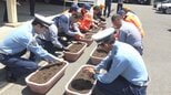 高速道路での重大事故根絶へ 願い込めヒマワリの種まき 「ひまわりの絆プロジェクト」の一環＝静岡県警高速隊|TBS NEWS DIG