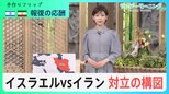 イスラエル、旧約聖書の英雄にちなんだ核戦略とは？”間接攻撃”から初のイランの”直接攻撃”でかつてない緊張状態に…今後の展開とは？【サンデーモーニング】|TBS NEWS DIG