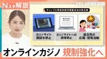オンラインカジノ規制強化へ サイトへの誘導禁止などで対策は万全?「ブロッキング」には危険性も【Nスタ解説】|TBS NEWS DIG