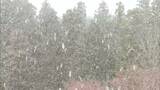 18日は岡山県北の山地で大雪のおそれ 南部や香川県の山沿いでも積雪か|TBS NEWS DIG