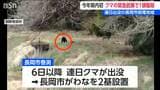 今年初　クマを緊急銃猟により駆除　周辺ではクマの出没情報相次ぐ　新潟・長岡市　|　新潟のニュース・天気｜BSN NEWS｜BSN新潟放送