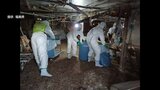 1万7000羽殺処分 養鶏場で「高病原性鳥インフルエンザ」県内初確認 福島・伊達市 | 福島のニュース│TUF