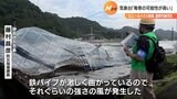 気象台「竜巻の可能性高い」 静岡市・ビニールハウス15棟倒壊で現地調査 | 静岡のニュース | SBSNEWS | 静岡放送