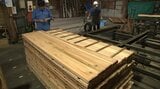 大船渡山林火災の被害木を建築資材などに活用できるかの試験に向け製材作業 岩手|TBS NEWS DIG