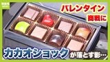【バレンタインデーに異変?】カカオ高騰でチョコ値上がり...救世主は「プレミアム準チョコ」!?カカオを減らしてチョコを作る"技術力"に注目【カカオショック】|TBS NEWS DIG