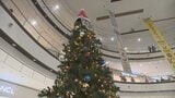 「すごくキレイ」 ショッピングモールに早くもクリスマスツリーが点灯 山梨・イオンモール甲府昭和 | 山梨のニュース | UTYテレビ山梨