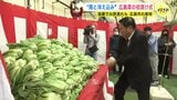 願いは “雨と冷え込み”　広島菜の初漬け式　猛暑で出荷遅れも　広島市の産地　|　RCC NEWS | 広島ニュース | RCC中国放送