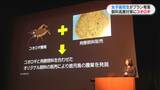 “飼料高騰”救うのはコオロギ? 女子高校生が考えた新たなビジネスプラン 鹿児島 | 鹿児島のニュース|MBC NEWS|南日本放送