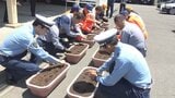 高速道路での重大事故根絶へ 願い込めヒマワリの種まき 「ひまわりの絆プロジェクト」の一環＝静岡県警高速隊　|　静岡のニュース | SBSNEWS | 静岡放送