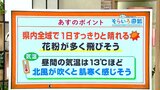 高知の天気 27日は全域で晴れ 花粉の飛散が多くなる 東杜和気象予報士が解説 | 高知のニュース・天気|KUTV NEWS | KUTVテレビ高知