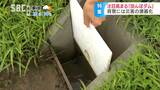 知ってる?「田んぼダム」ゲリラ豪雨などの異常気象続く中で期待…すべての田んぼで4600万トンの貯水可能、浸水被害防ぐ「流域治水」の有効な一手に、課題は農家のコンセンサス | SBC NEWS | 長野のニュース | SBC信越放送