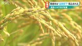 「収量減少や等級比率低下が避けられない」異常高温と水不足で米どころがピンチ?本格的な稲刈りを前に募る不安|TBS NEWS DIG