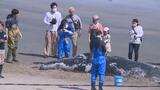 海岸に打ち上げられたクジラはオス　福島・いわき市|TBS NEWS DIG