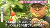 県の誇り『佐藤錦』をこれからも作り続けるために　“神経質な子たち”に愛情込めた“対話”　極上の一粒にかける、さくらんぼ農家の想いに密着（山形）|TBS NEWS DIG