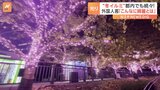 光と音の幻想空間に“冬の夜桜”も　都内で続々！冬のイルミネーション始まる|TBS NEWS DIG