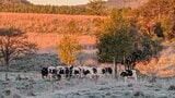 今シーズン全国初の「冬日」 北海道北部で最低気温がマイナスに タイヤ交換の準備を|TBS NEWS DIG