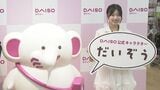 【髙木悠未】DAISO初の公式キャラクター「だいぞう」を "愛らしいフォルム"と絶賛|TBS NEWS DIG