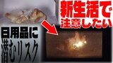 電子レンジから発火・ガスコンロで火災… 不慣れな1人暮らしで「注意したい」日用品に潜む『リスク』 自転車にも注意を! | 青森のニュース│ATV NEWS│青森テレビ