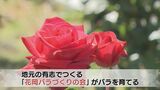 バラ園に園児たちを招待「においがする」20品種450本のバラに興味津々|TBS NEWS DIG