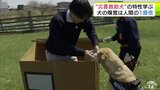 「人間の1億倍」の嗅覚があるとされる災害救助犬の“実力”とは? 警察署員が災害救助犬の特性学ぶ「災害があった時に犬が命をかけて捜索している」 | 青森のニュース│ATV NEWS│青森テレビ