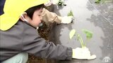 「焼き芋とか天ぷら」恵みの秋を願い子どもたちがサツマイモの苗の植え付けに挑戦|TBS NEWS DIG
