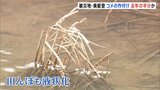 「地域のコミュニティーがないと成り立たない」奥能登で約2600ヘクタールの水田のうち、今年は半分程度でしか作付けできない見通し|TBS NEWS DIG