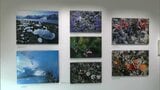 星野道夫さんの写真展「悠久の時を旅する」北極圏の自然や人をテーマにした写真140点【岡山・高梁市】　|　岡山・香川のニュース | 天気 | RSK山陽放送