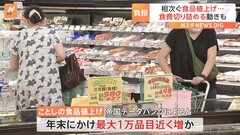 食品値上げ 年末にかけて最大1万品目近く増える見通し　“食費切り詰め”も家計への負担重く| TBS CROSS DIG with Bloomberg