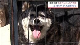 熊本地震で被災して一緒に暮らせない・・・　宮崎県のNPOがペットの支援　「引き取り」や「支援物資」も　|　MRTニュース ｜ ＭＲＴ宮崎放送