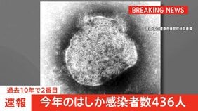【速報】今年のはしか感染者数436人　400人超える 過去10年で2番目　厚生労働省|TBS NEWS DIG