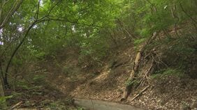 「猟銃の弾が跳ね返って肩にあたった」クマ駆除中猟友会の男性が撃った猟銃の弾で８１歳男性がケガ・長野県長野市|TBS NEWS DIG