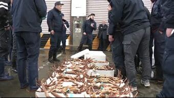 鮮魚・青果で初市 市場に威勢のいい掛け声戻る 石川県金沢市中央卸売市場|TBS NEWS DIG