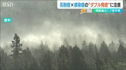 傷ついた粘膜”に花粉がっっ!!『花粉症 × 感染症』インフルエンザとの