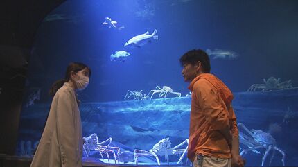 竹島水族館 リニューアルから半年…どうなった？タカアシガニの